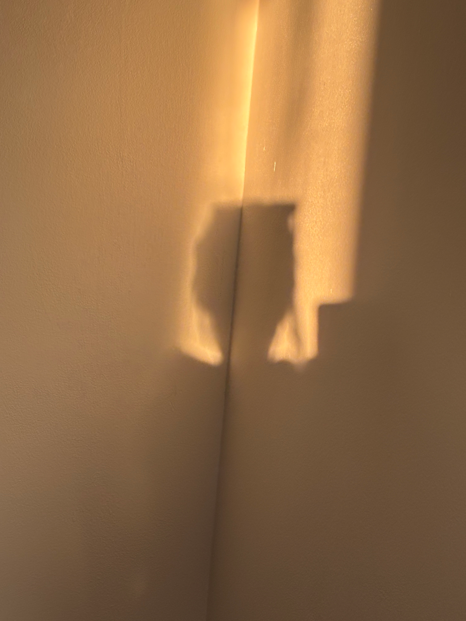 Two Reasons Why You Lose Confidence