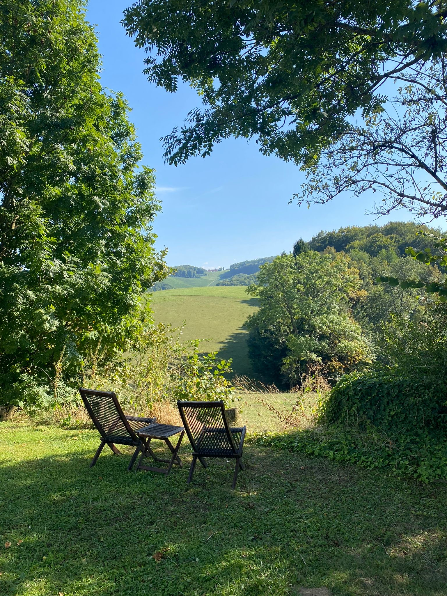 6 Exciting Distraction Techniques